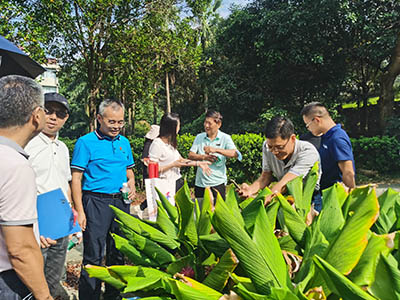 AG8亚洲国际游戏集团_首页官网