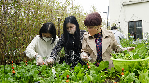 AG8亚洲国际游戏集团_首页官网