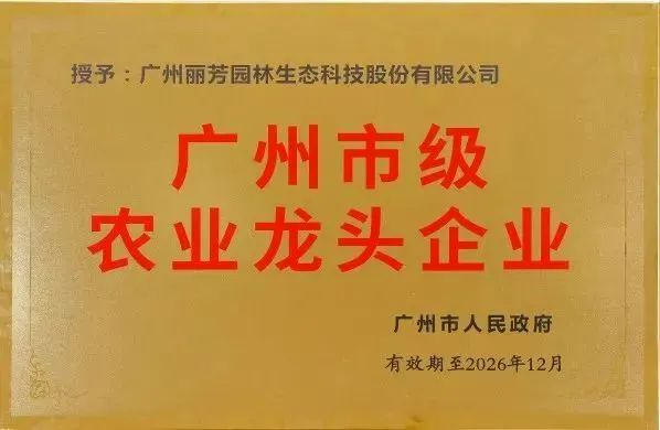 AG8亚洲国际游戏集团_首页官网