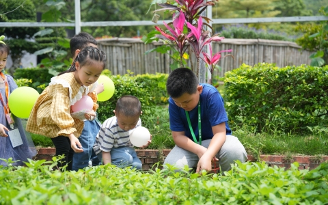 运动预告 | 这个炎天，多场自然教育运动将在AG8亚洲国际游戏集团园艺康养科普基地精彩上演